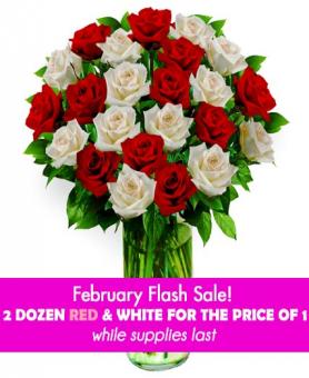 24 Premium Red Roses™ - Flower Co. - Farm Fresh Roses