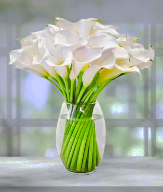 https://www.avasflowers.net/img/prod_img/avasflowers-elegant-calla-lily-bouquet.png
