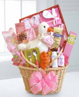 Special Stork Delivery Baby Girl Basket | Avas Flowers