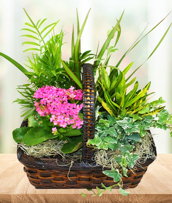 Garden Pleasures Basket | Avas Flowers