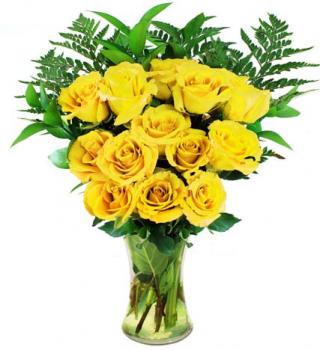 One Dozen Yellow Roses | Avas Flowers