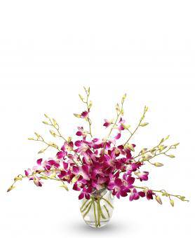 Purple Orchid Bouquet | Avas Flowers