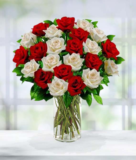 2 Dozen Red and Rose Bouquet | Avas Flowers