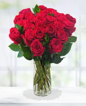 Two Dozen Red Roses | Avas Flowers